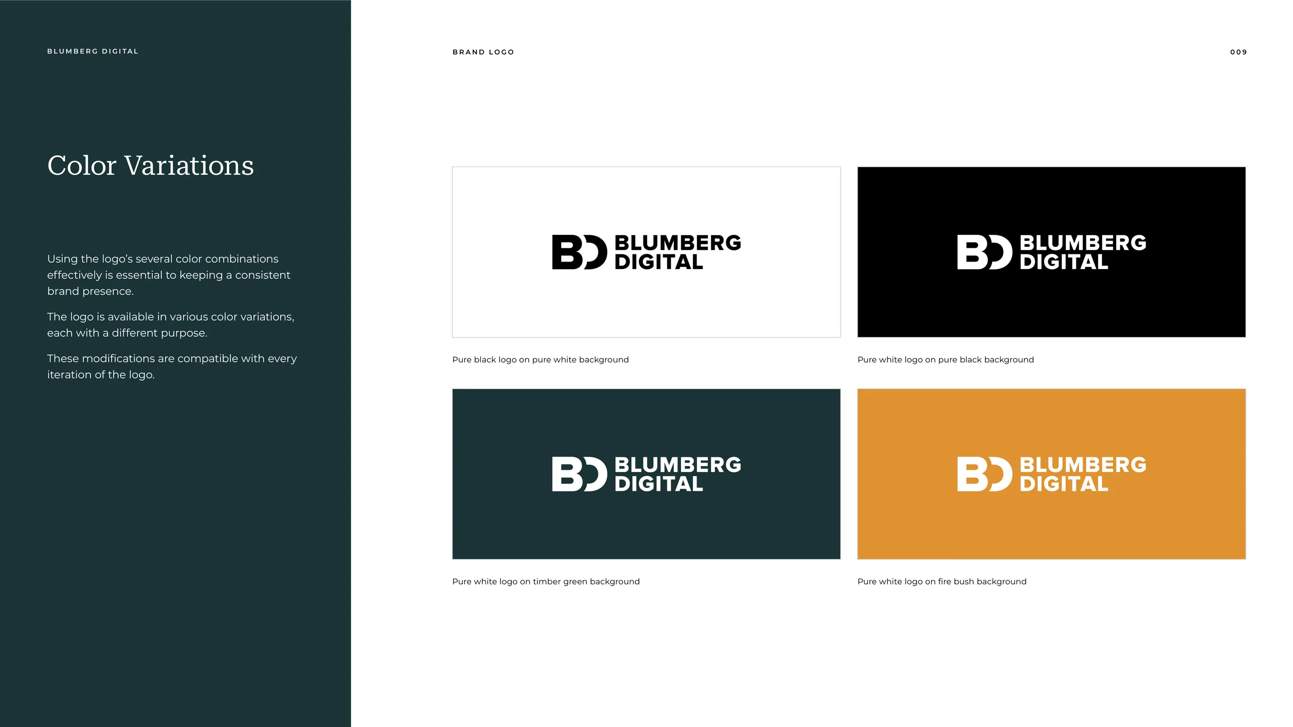 Blumberg Digital brand identity 4